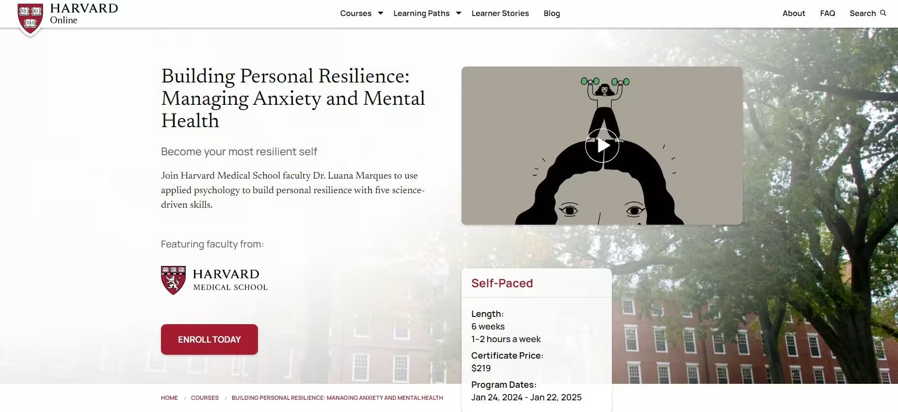 Building Personal Resilience: Managing Anxiety and Mental Health | Harvard Online Course