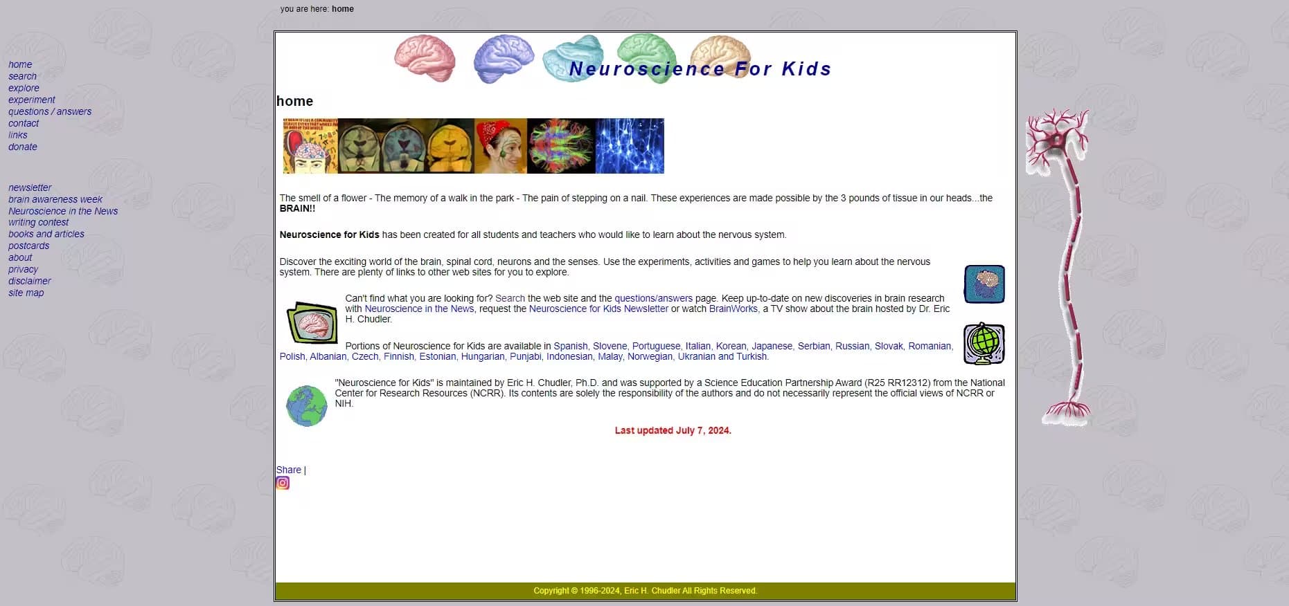Neuroscience For Kids