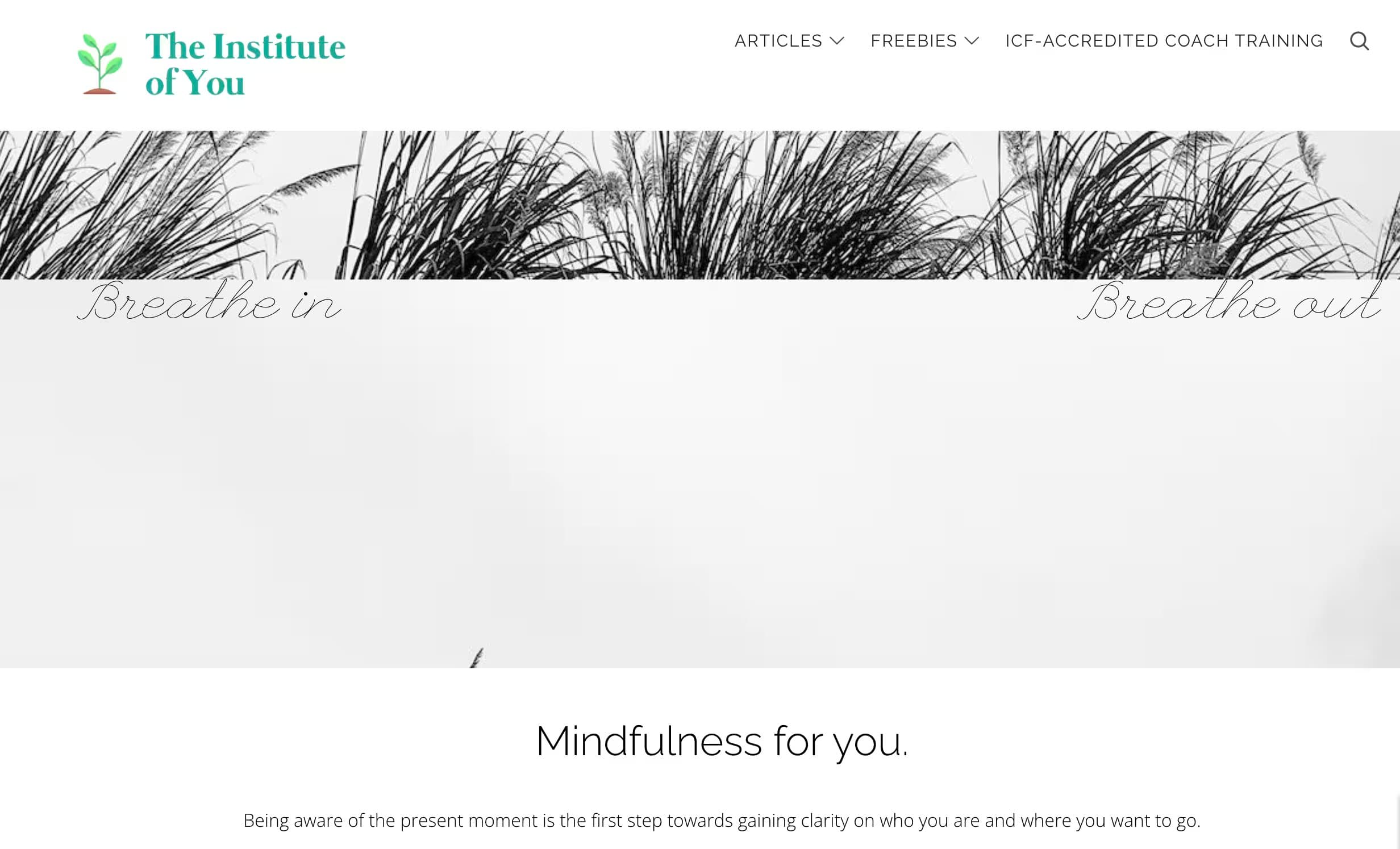 The Institute of You | Mindfulness for you.