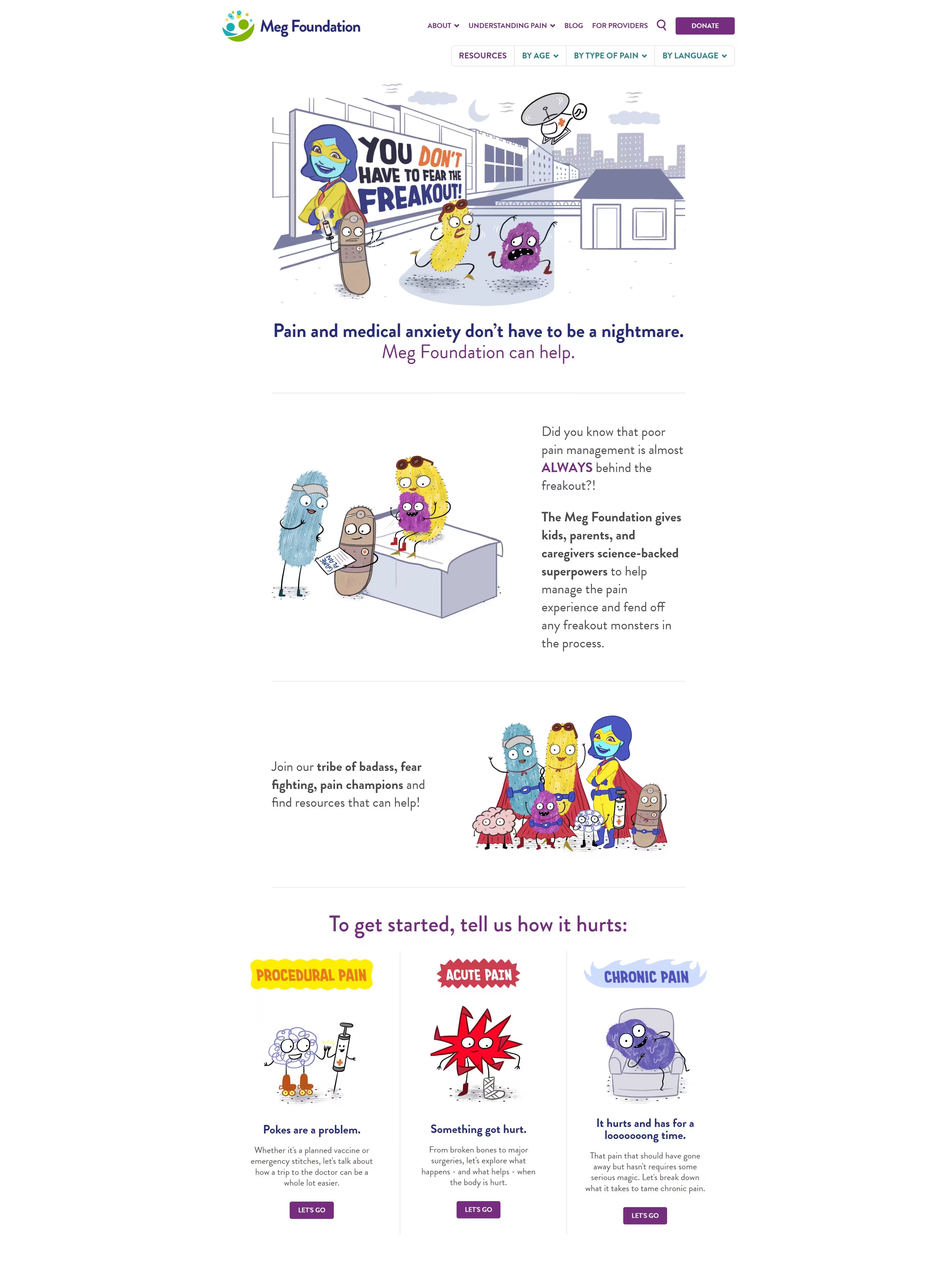 MEG Foundation for Pain