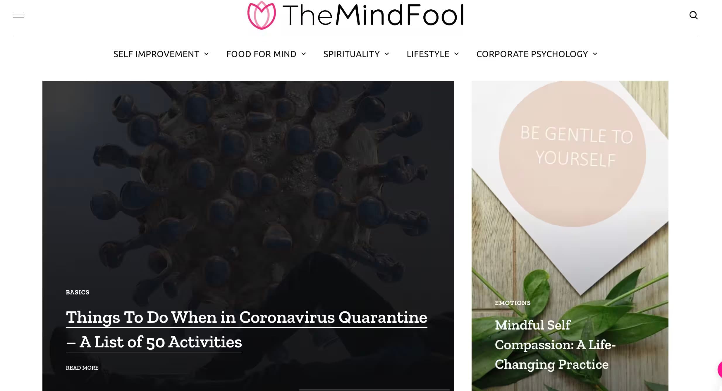 The Mind Fool