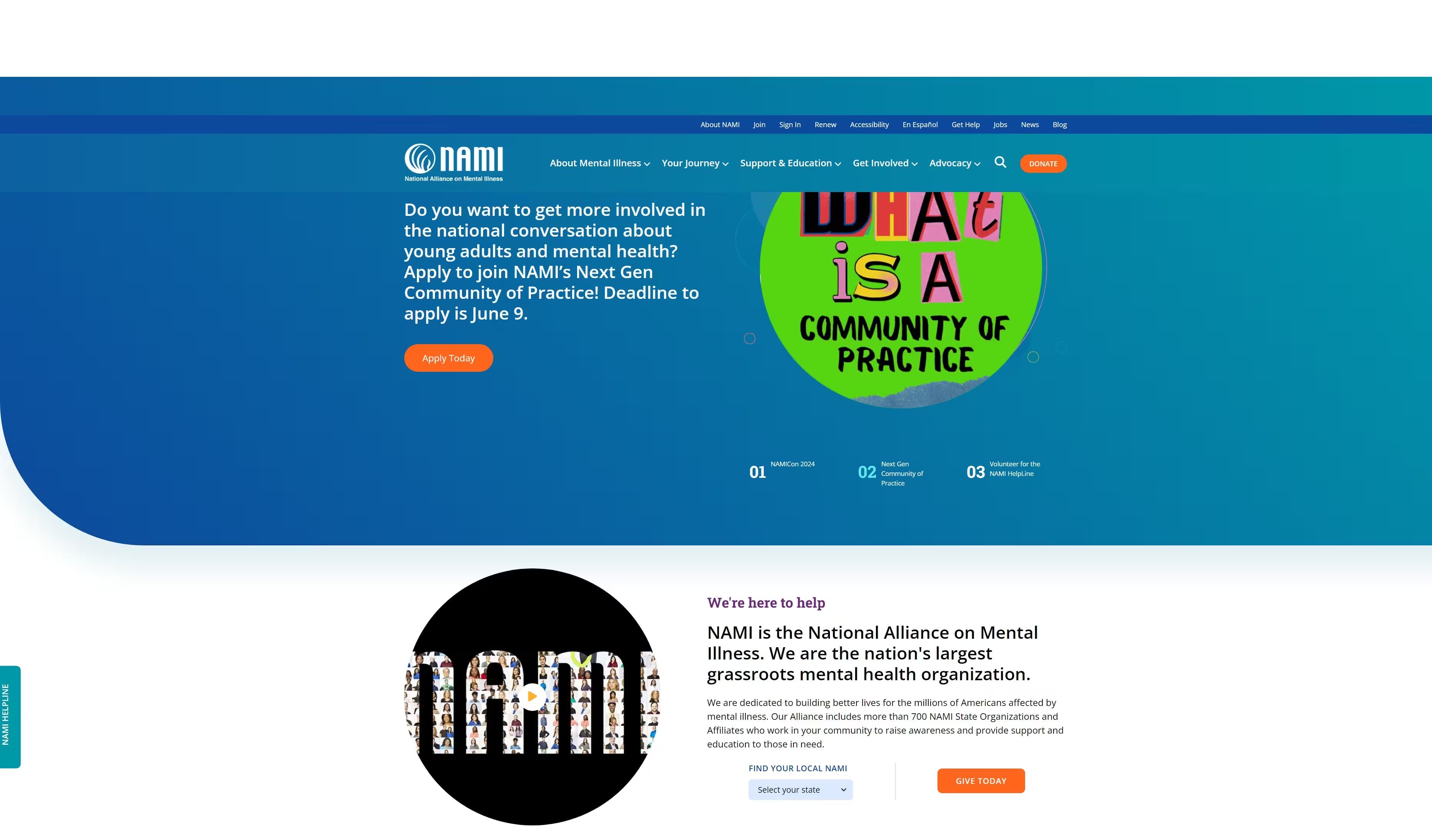National Alliance on Mental Illness (NAMI)