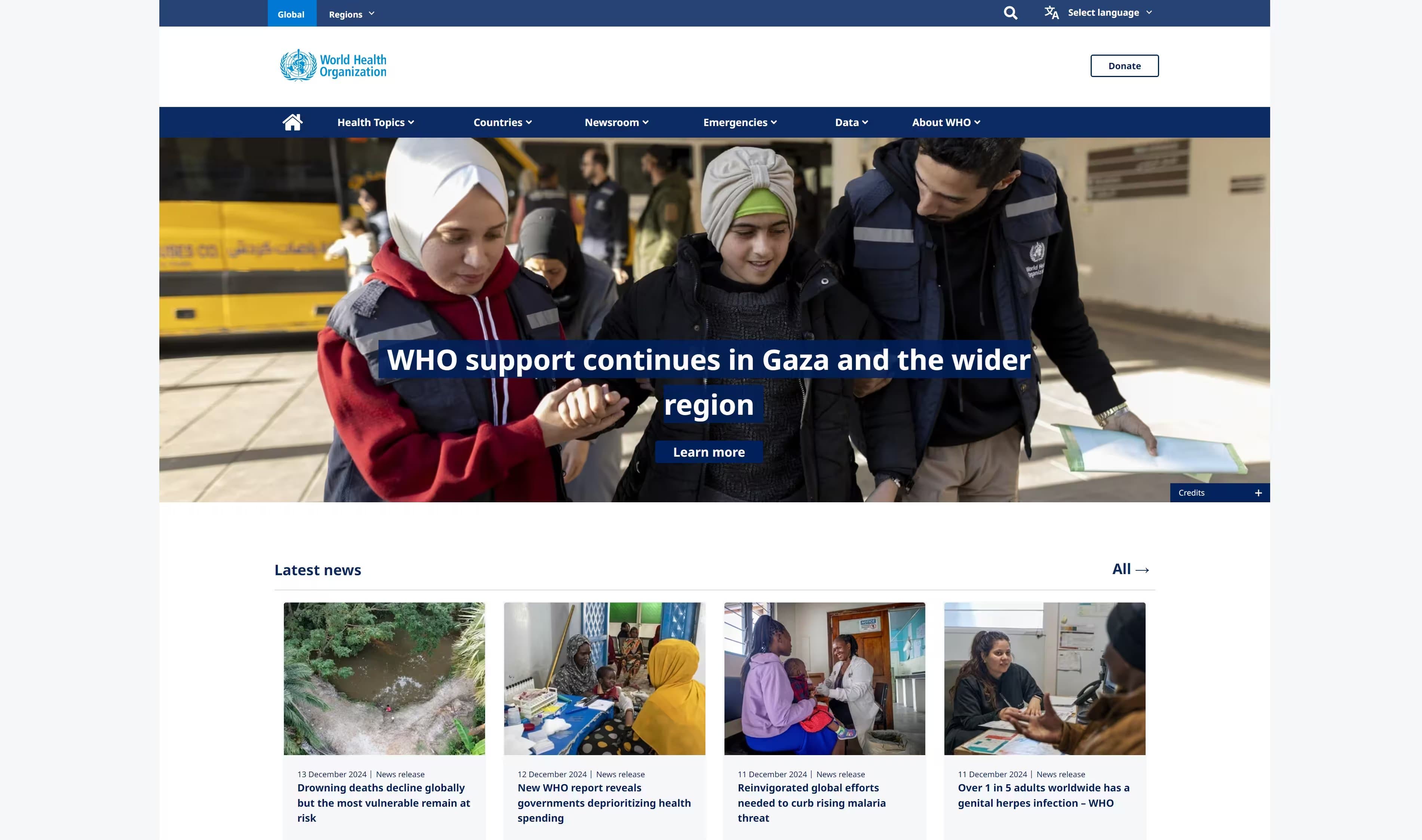 World Health Organization (WHO)