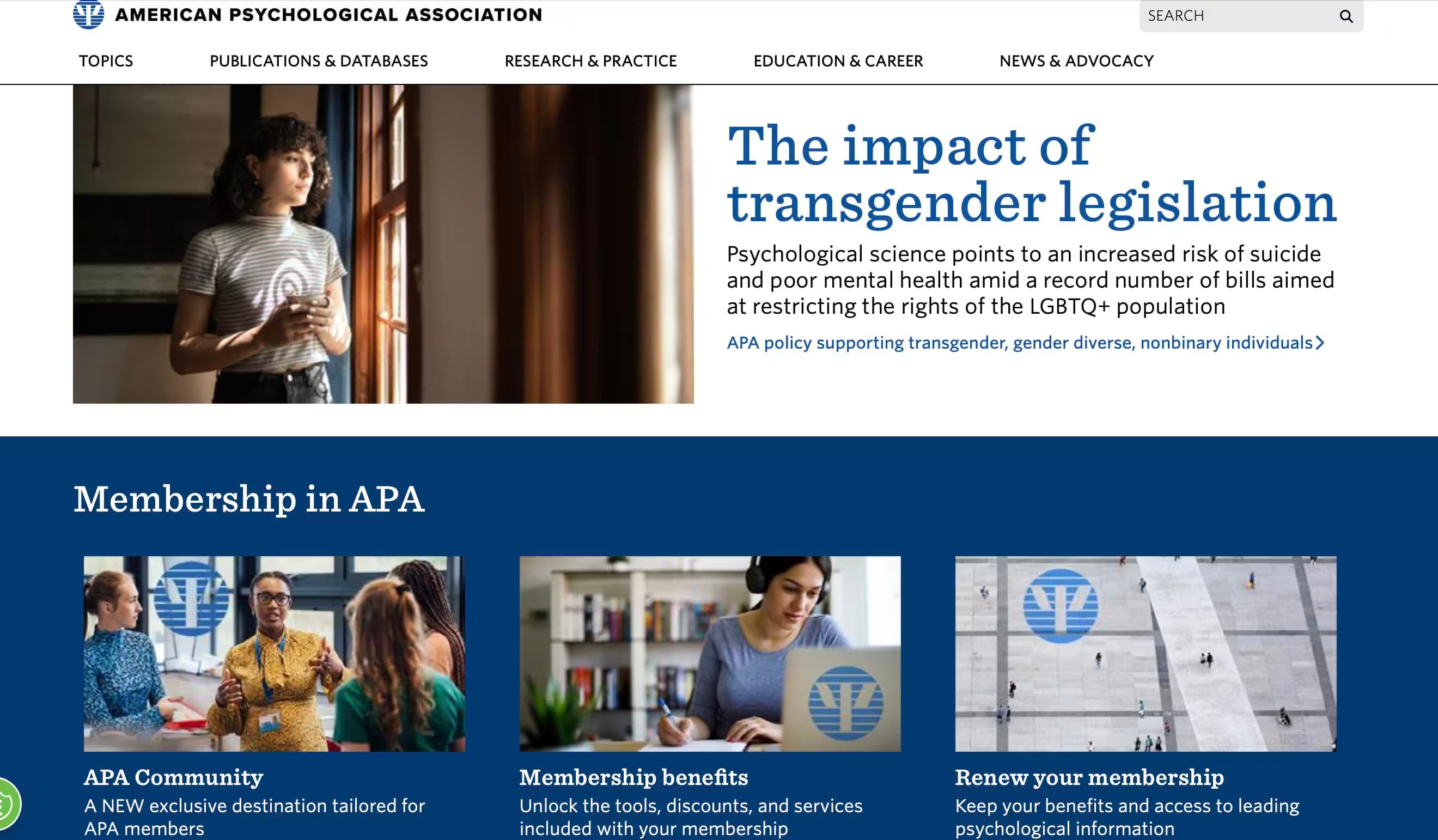 American Psychological Association (APA)